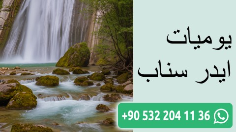 يوميات ايدر سناب